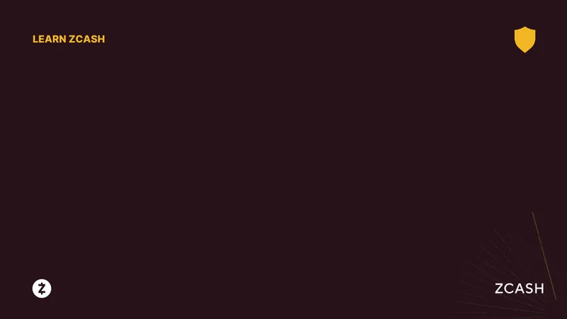 Zcash: Price Trends, Future Outlook, and the Data – What Reddit is Saying